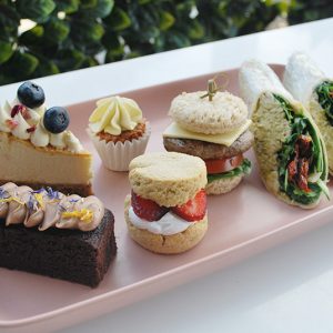 small_sugarfreebox